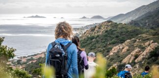 Fleecejacken zum Wandern & Bergsteigen im Test: Der ultimative Guide © Gipfelfieber