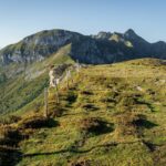 Rückblick zum Schuhflicker © Gipfelfieber