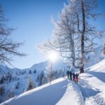 Die Lärchen lichten sich © Gipfelfieber