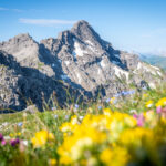 Biberkopf in den Allgäuer Alpen © Gipfelfieber