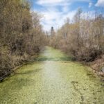 Entlang am Äußeren Weißenbach © Gipfelfieber