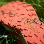 Bewährte Continental Sohle © Gipfelfieber