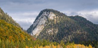 Seekopf © Gipfelfieber