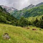 Bärgündeletal © Gipfelfieber