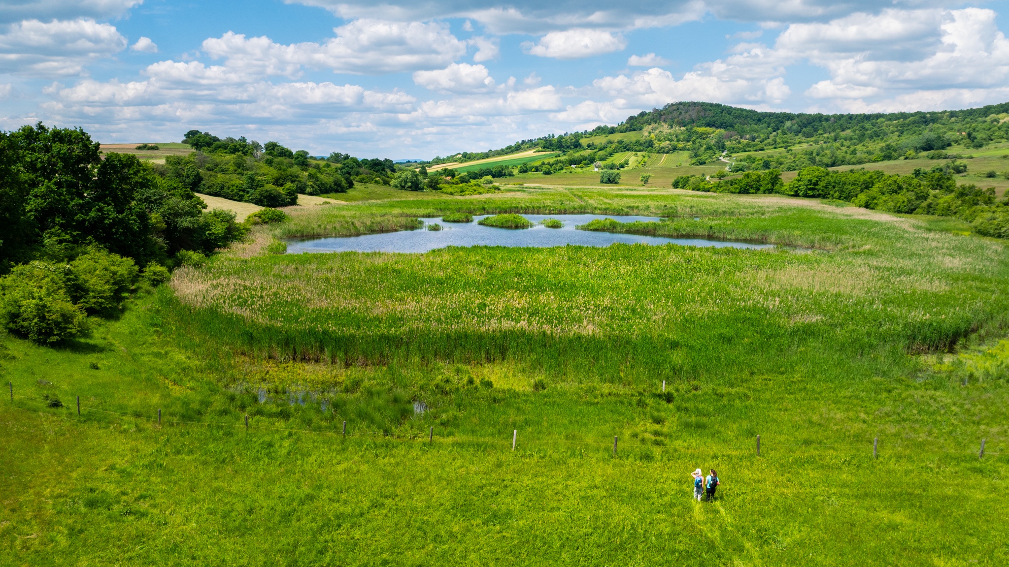 Pannonisch Wandern im Burgenland © Burgenland Tourismus/MFilm