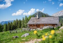 Hüttentouren für den Sommer: 5 Touren von ruhig bis alpin Priesbergalm © Gipfelfieber