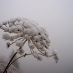 Wintereinbruch Teil 2 © Gipfelfieber.com